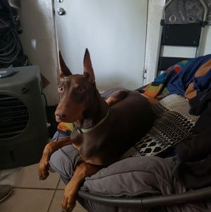 Meet your Posher, Jose